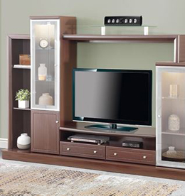Wall Unit Showcase